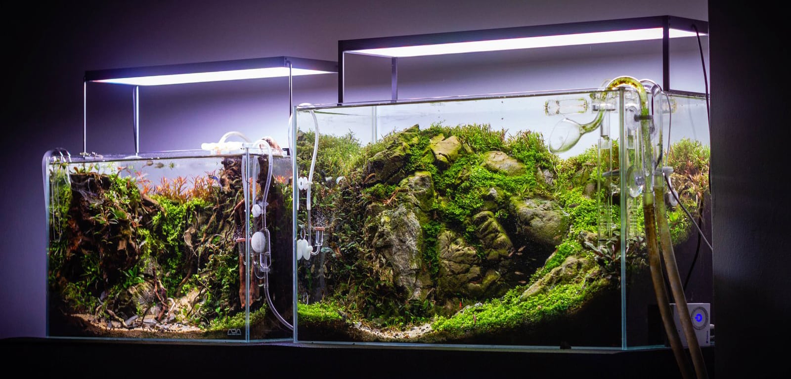 aquascape lamp