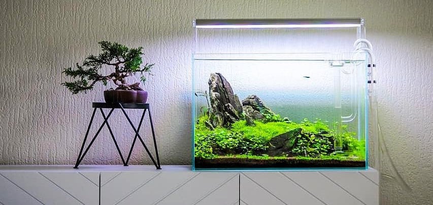 Aquarium LED light used in aquascaping