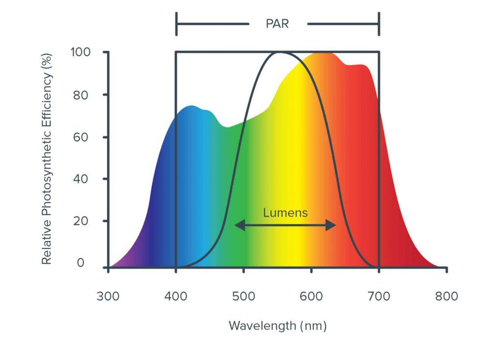 The light spectrum and PAR