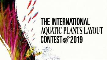 the international aquatic plants contest 2019 iaplc