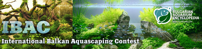 bulgarian aquascaping contest