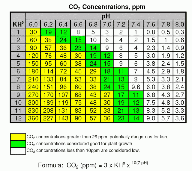 The Importance of CO2 in the planted tank - Aquascaping