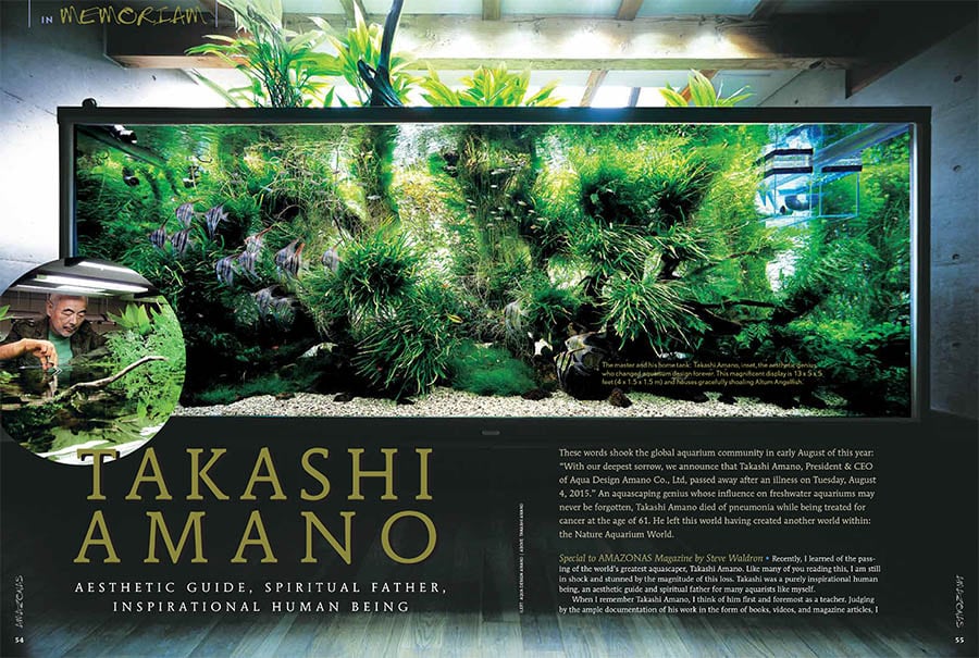 aquascaping-inspiration-takashi amano