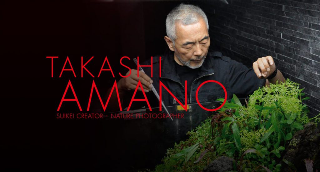 Unveiling The Masterful Techniques Of Takashi Amano: A Guide To Aquascaping Excellence