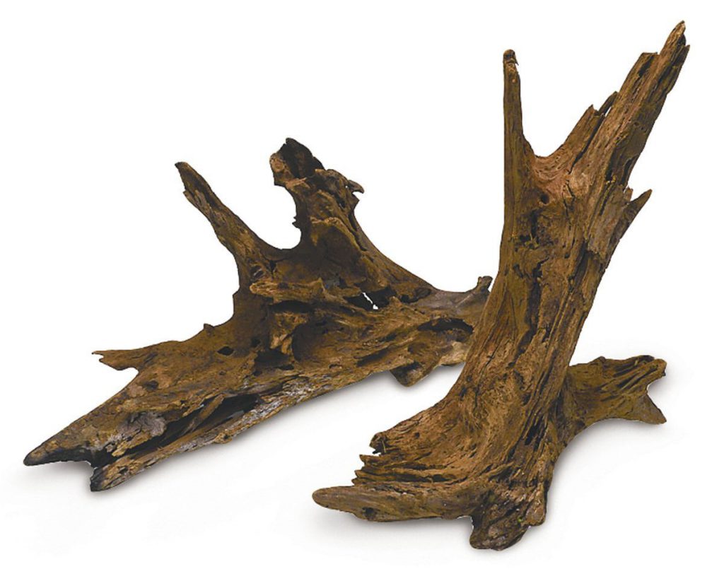 malaysian-driftwood-aquascaping-planted-aquarium