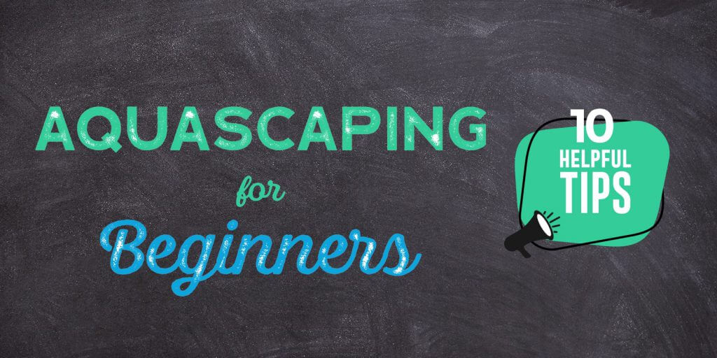 aquascaping for beginners 10 helpful tips