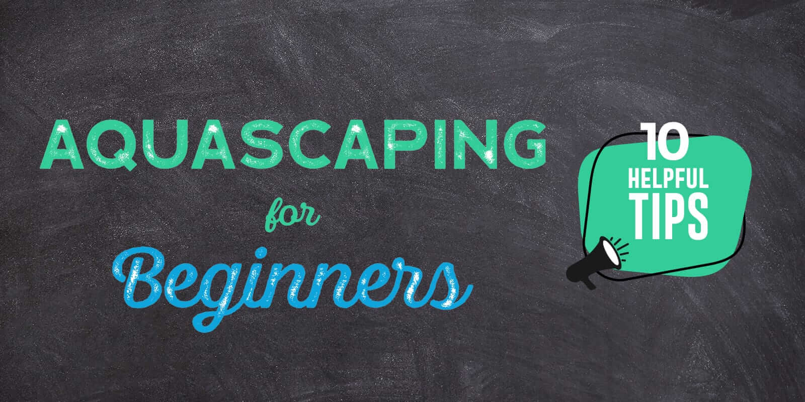 Aquascaping for Beginners: 10 Helpful Tips