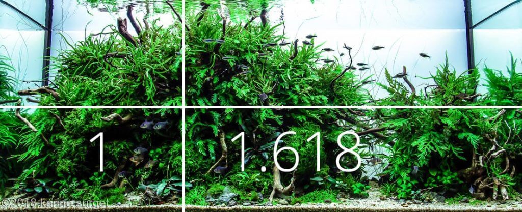Aquascaping and the Golden Ratio.