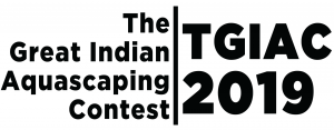 the great indian aquascaping contest