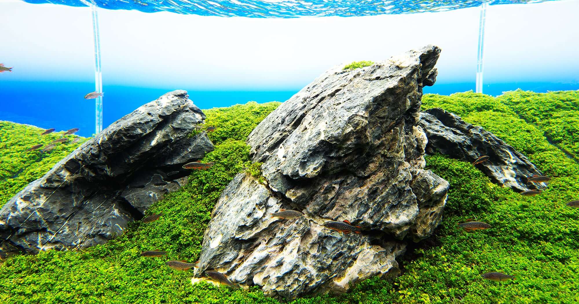 Rock mountain aquarium decoration from Garden Aquarium - 20 inches wide