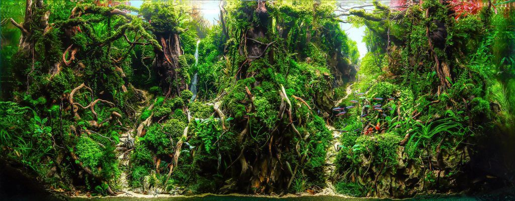 tema aquascape forest style