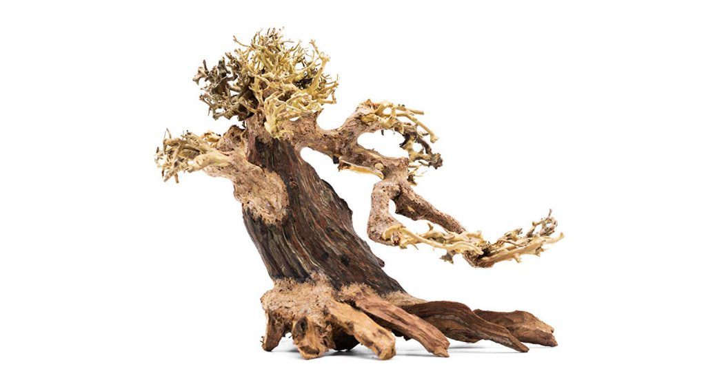 bonsai-tree-driftwood-aquascaping