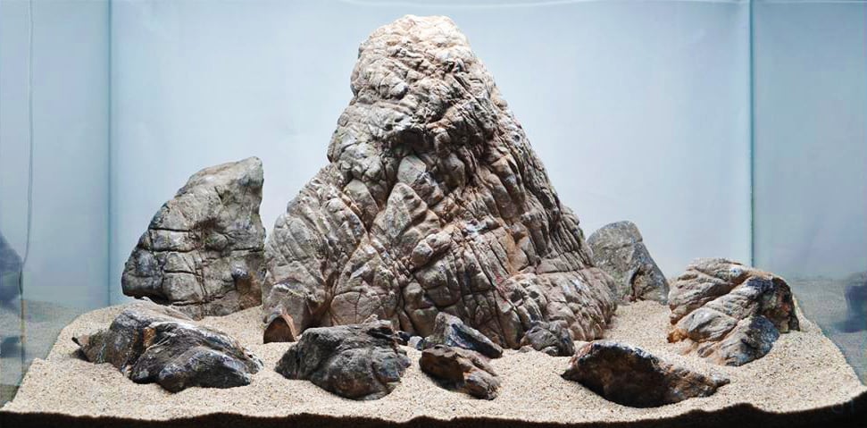 elephant-skin-dolomite-stone-hardscape
