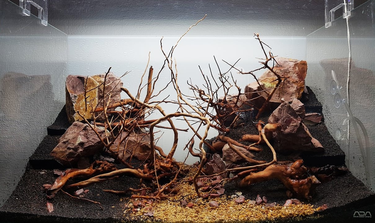 The Elements Of Aquascaping Rocks Driftwood Substrates Aquascaping Love